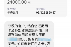 汉阳如何避免债务纠纷？专业追讨公司教您应对之策